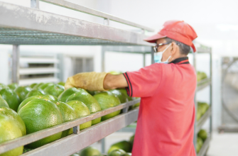 PRELIMINARY PROCESSING STATION