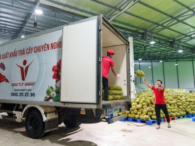 TRUY XUẤT NGUỒN GỐC: LỜI CAM KẾT V&Agrave;NG CHO CHẤT LƯỢNG N&Ocirc;NG SẢN XUẤT KHẨU