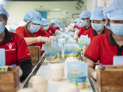 VINA T&T GROUP - CHUẨN H&Oacute;A TỪNG C&Ocirc;NG ĐOẠN, KIẾN TẠO CHẤT LƯỢNG N&Ocirc;NG SẢN VIỆT
