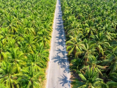 PARTNERING WITH FARMERS &ndash; THE JOURNEY TO REAL VALUE