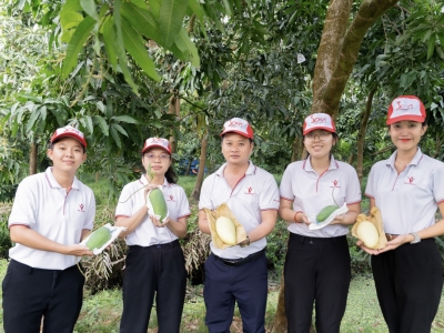 CULTIVATION TECHNIQUES &ndash; THE FOUNDATION OF EXPORT AGRICULTURAL QUALITY