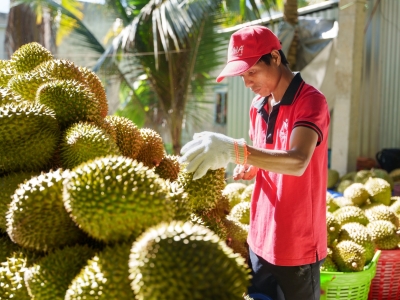 KIỂM SO&Aacute;T V&Ugrave;NG TRỒNG - NỀN TẢNG CHẤT LƯỢNG CHO THỊ TRƯỜNG QUỐC TẾ