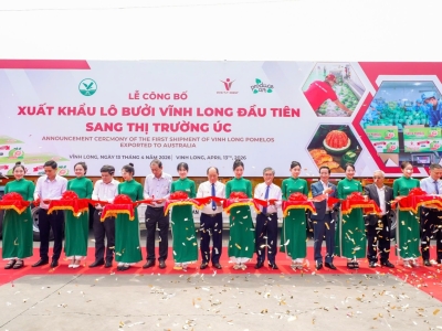 ANNOUNCEMENT CEREMONY OF THE FIRST SHIPMENT OF VINH LONG POMELO EXPORTED TO AUSTRALIA