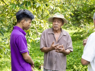 STANDARDIZED HARVESTING PROCESS AT FARM LEVEL IN COMPLIANCE WITH EXPORT STANDARDS