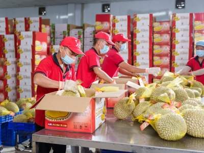 HỆ THỐNG CHỨNG NHẬN TO&Agrave;N CẦU - N&Acirc;NG TẦM CHẤT LƯỢNG N&Ocirc;NG SẢN VIỆT