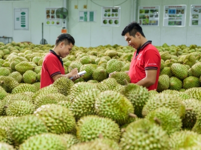 HỆ THỐNG GI&Aacute;M S&Aacute;T V&Ugrave;NG TRỒNG: CHỦ ĐỘNG PH&Ograve;NG NGỪA RỦI RO