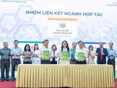 TIẾP NỐI H&Agrave;NH TR&Igrave;NH PH&Aacute;T TRIỂN CHUỖI GI&Aacute; TRỊ BƯỞI ĐỒNG NAI