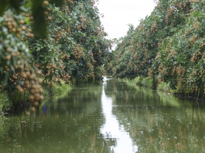 QUY TRÌNH SẢN XUẤT NHÃN TẠI VINA T&T GROUP 