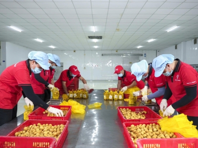 THANH NHÃN VINA T&T GROUP: SỰ LỰA CHỌN TIN CẬY CHO CHUỖI CUNG ỨNG NÔNG SẢN TOÀN CẦU THANH NHÃN VINA T&T GROUP: SỰ LỰA CHỌN TIN CẬY CHO CHUỖI CUNG ỨNG NÔNG SẢN TOÀN CẦU