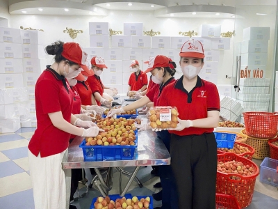VẢI THIỀU BẮC NINH TIẾP TỤC CHINH PHỤC HỆ THỐNG CENTRAL RETAIL TH&Aacute;I LAN